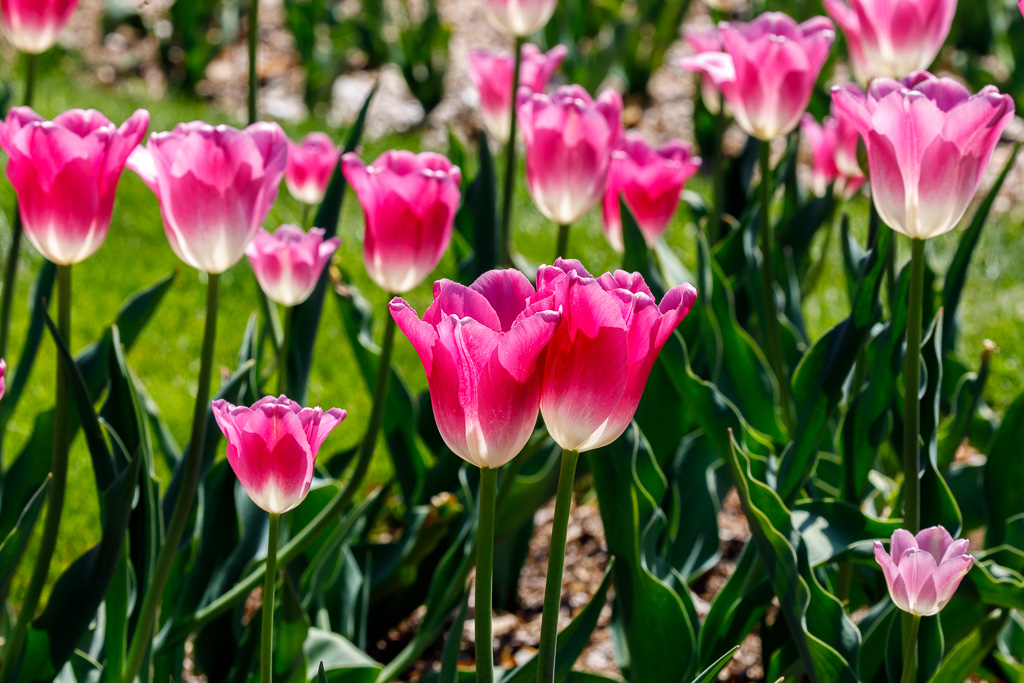 Photo Taken by: Matt Petrowski (www.instagram.com/mfpetrow)