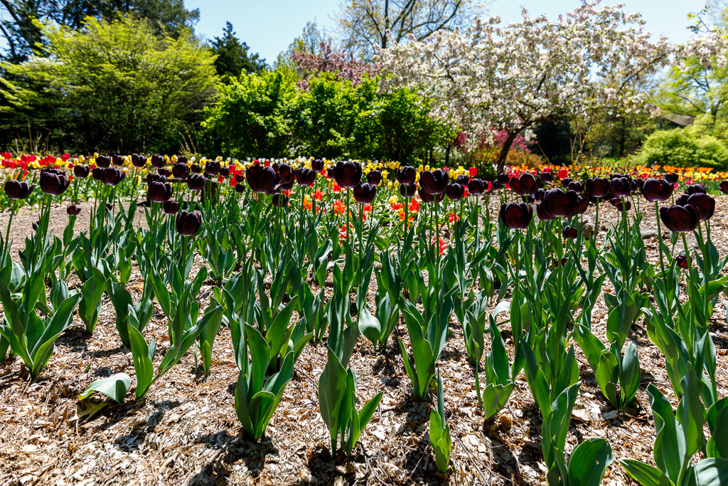 Photo Taken by: Matt Petrowski (www.instagram.com/mfpetrow)